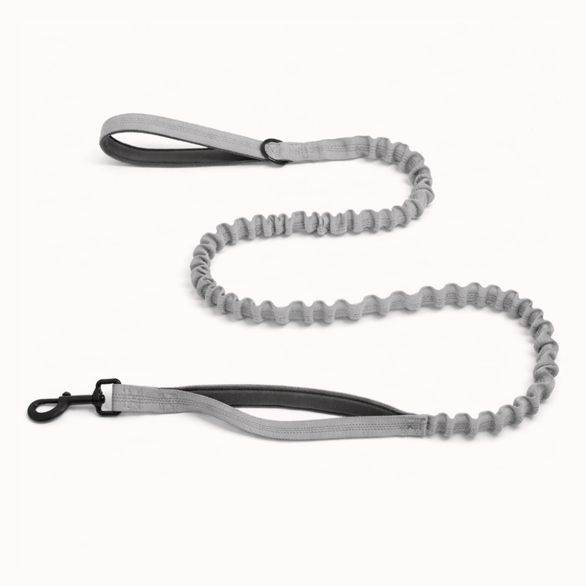 Laisse élastique assortie