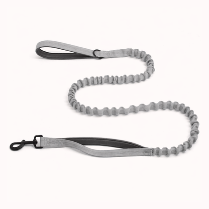 Laisse élastique assortie