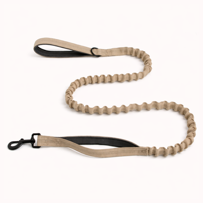 Laisse élastique assortie
