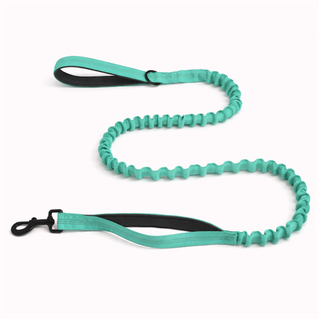 Laisse élastique assortie