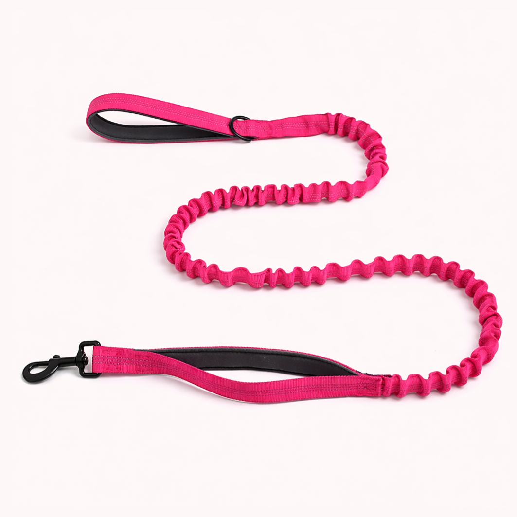 Laisse élastique assortie