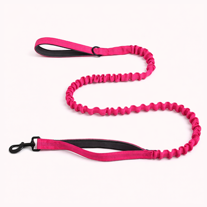 Laisse élastique assortie