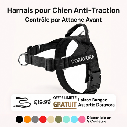 Harnais anti-traction Doravora